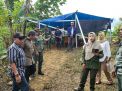 Penanaman Perdana Program KBR Kemenhut di Pasangkayu, Agus Ambo Djiwa Serahkan Bantuan 30 Ribu Bibit Durian dan Kakao